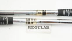 True Temper Dynamic Gold R300 34.25"-36.75" 6pc Iron Shaft Set .355 913913 -Golf Shop 00913913 4 17004.1629490024